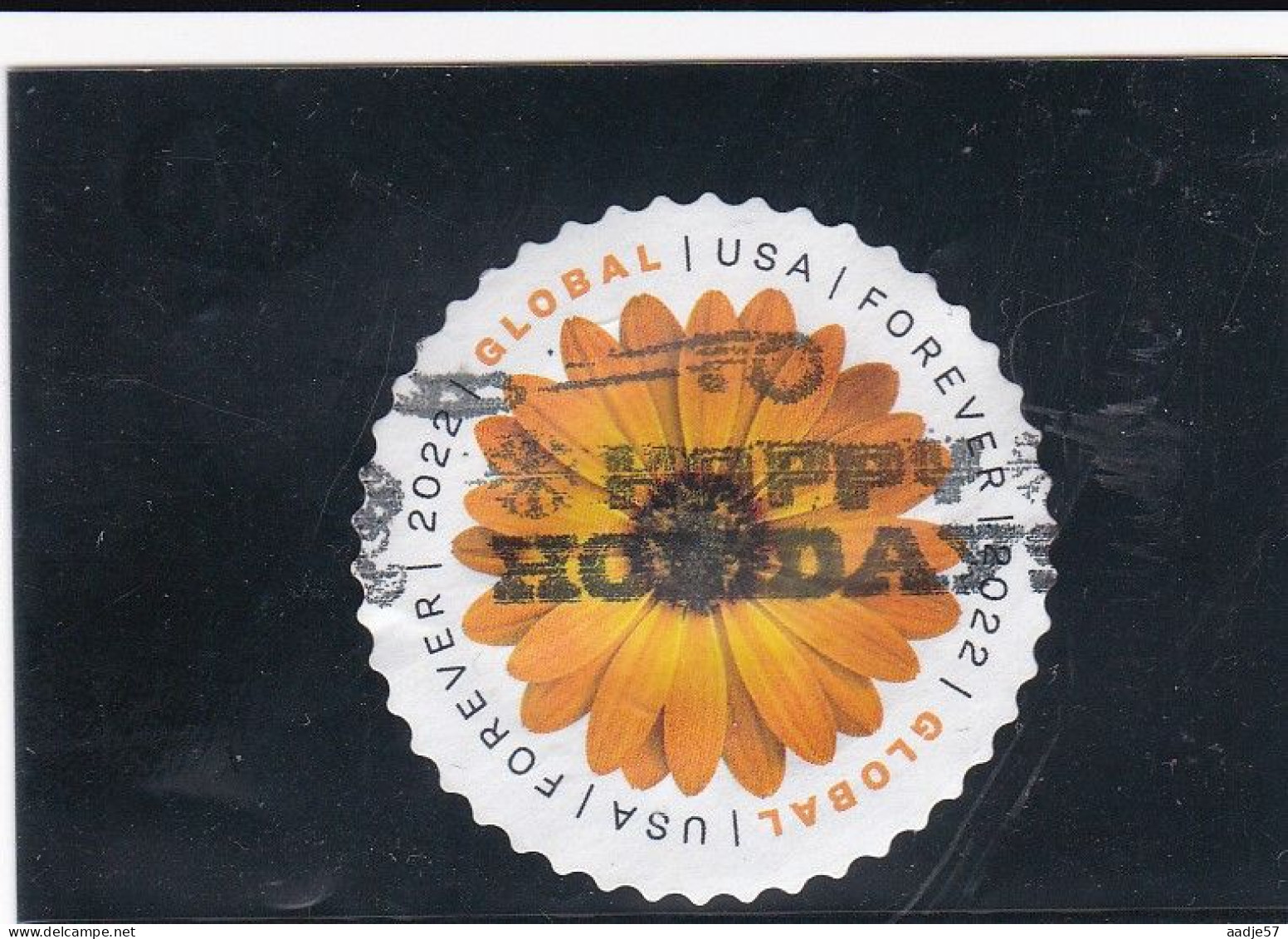 Etats-Unis 2022 Yv. N°5514 - Osteospermum - Used - Gebruikt