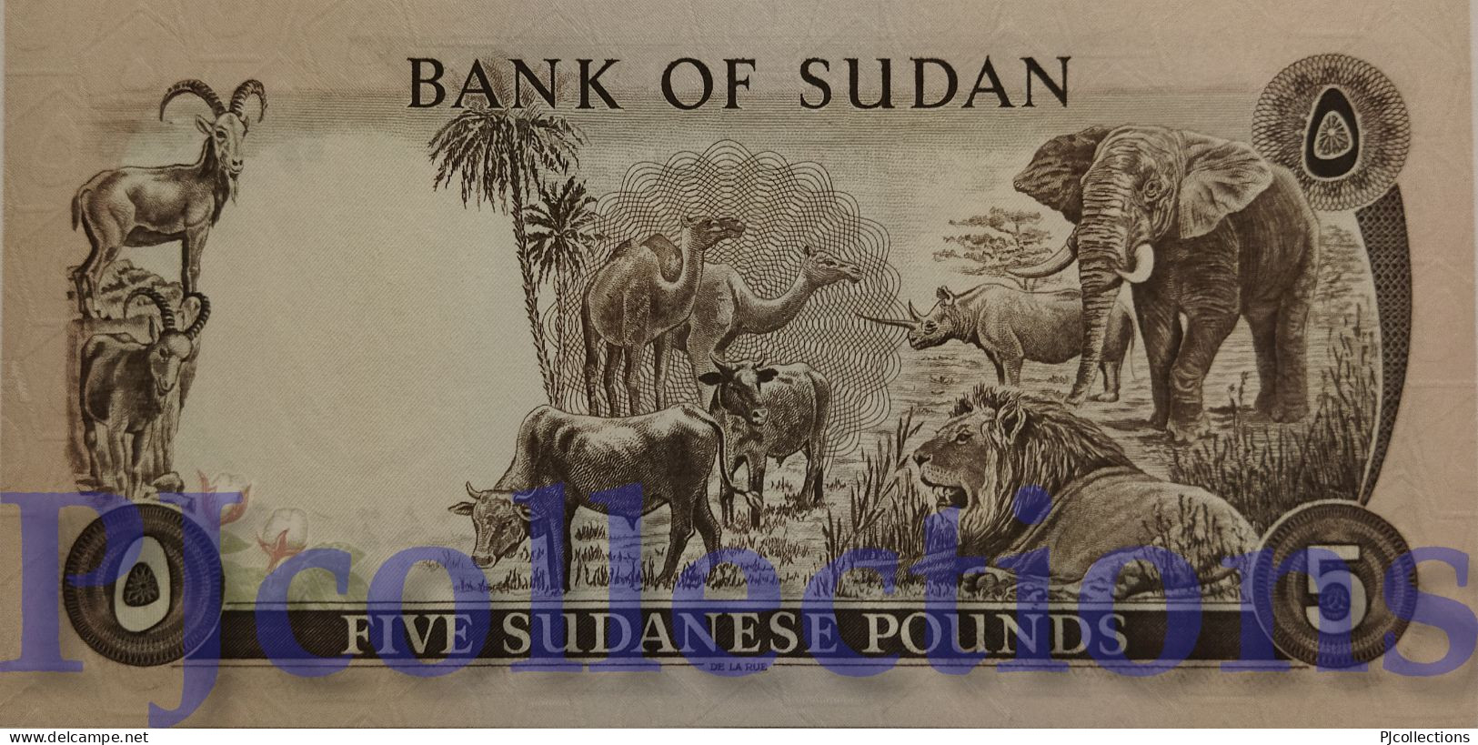 SUDAN 5 POUNDS 1980 PICK 14c UNC RARE - Soedan