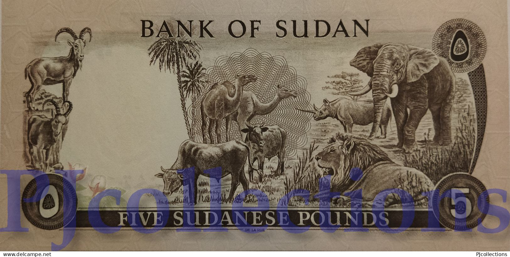 SUDAN 5 POUNDS 1980 PICK 14c UNC RARE - Sudan
