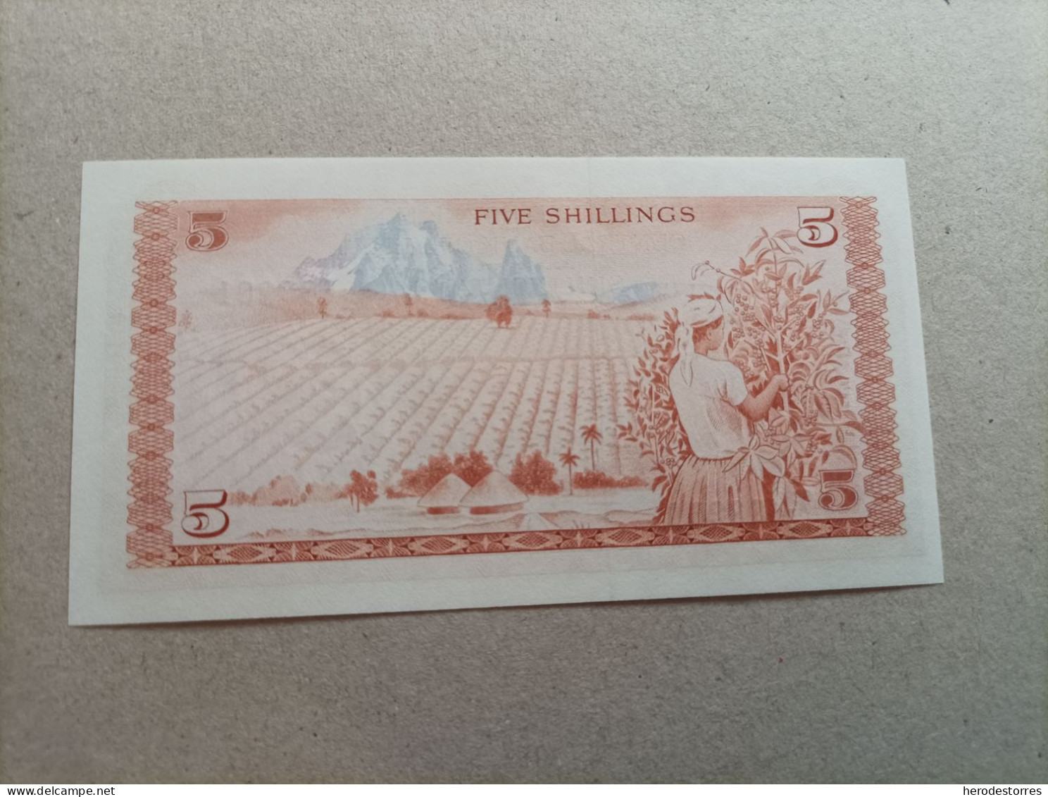 Billete De Kenia De 5  Shillings, Año 1995, UNC - Kenia