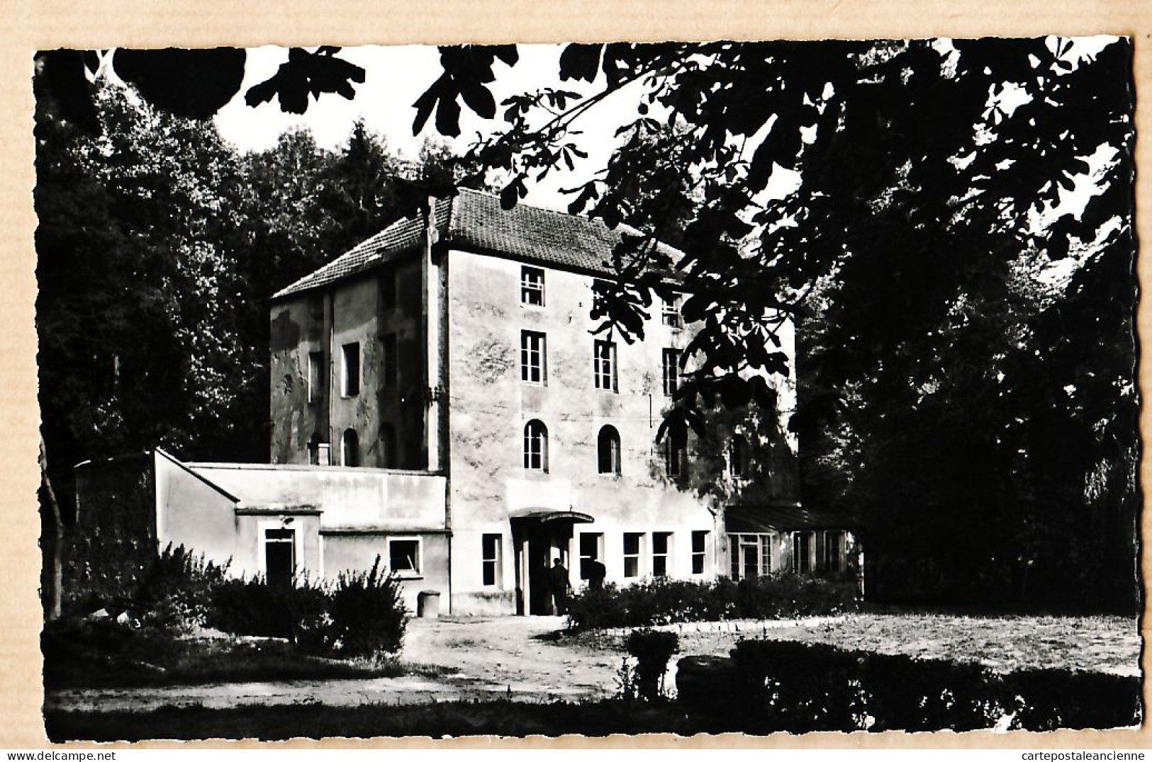 35421 / BOISSY-LA-RIVIERE 91-Essonne Domaine BIERVILLE Hotellerie Centre Education Ouvriere Sociale C.F.D.T 1950 RAMEAU  - Boissy-la-Rivière