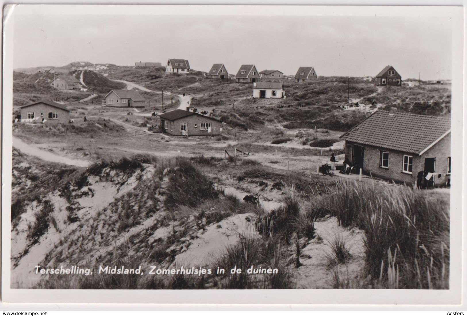 Terschelling 1962; Zomerhuisjes Bij Midsland In De Duinen - Gelopen. (P.C. Rijf, Midsland-Terschelling) - Terschelling