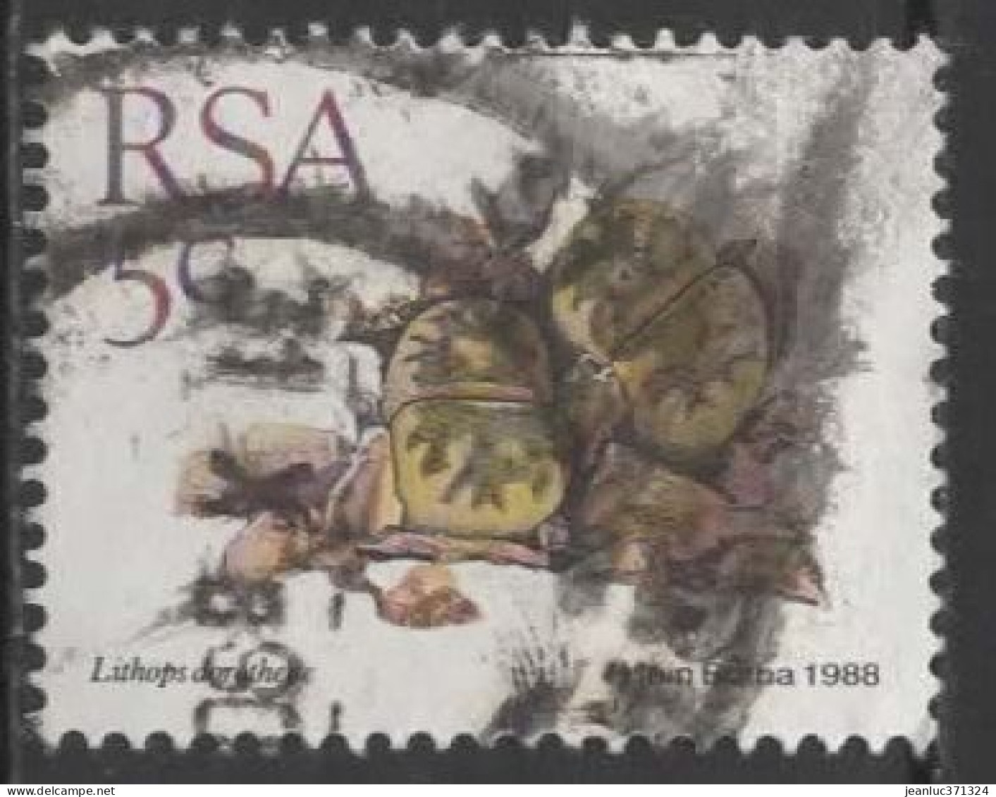 AFRIQUE DU SUD N° 662 O Y&T 1988 Plantes Grasses (Lithops Dorotheae) - Used Stamps