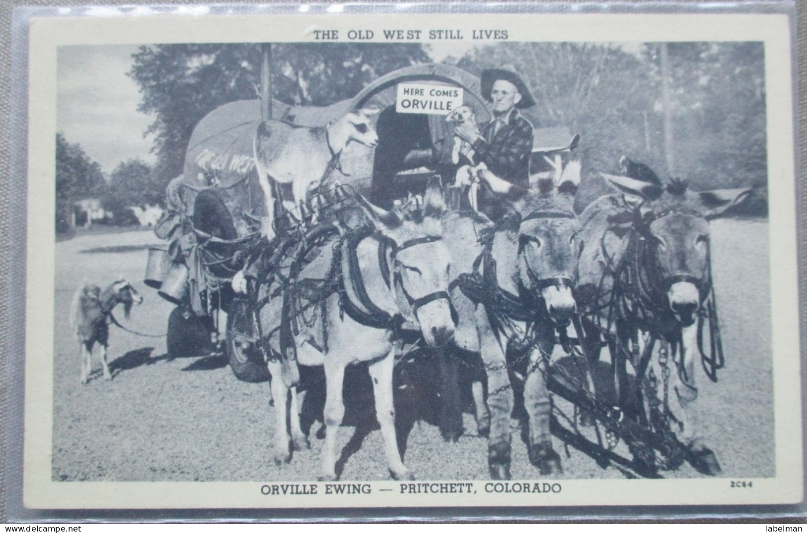 USA UNITED STATES FAR WEST ORVILLE EWING PRITCHETT COLORADO POSTCARD CARTE POSTALE ANSICHTSKARTE CARTOLINA POSTKARTE - Las Vegas