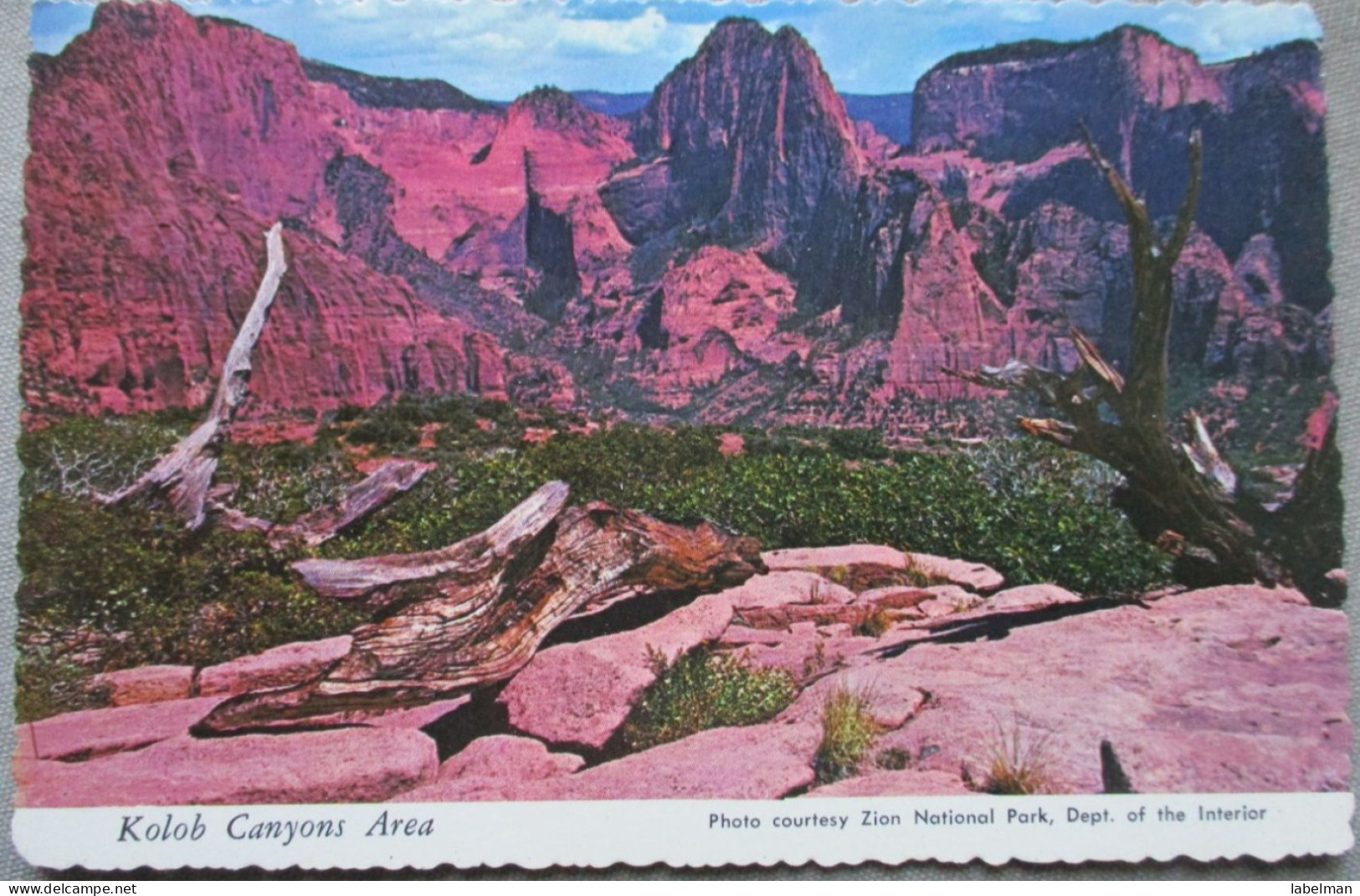 USA UNITED STATES ZION NATIONAL PARK KOLOB CANYONS KARTE CARD POSTCARD CARTE POSTALE ANSICHTSKARTE CARTOLINA POSTKARTE - Las Vegas