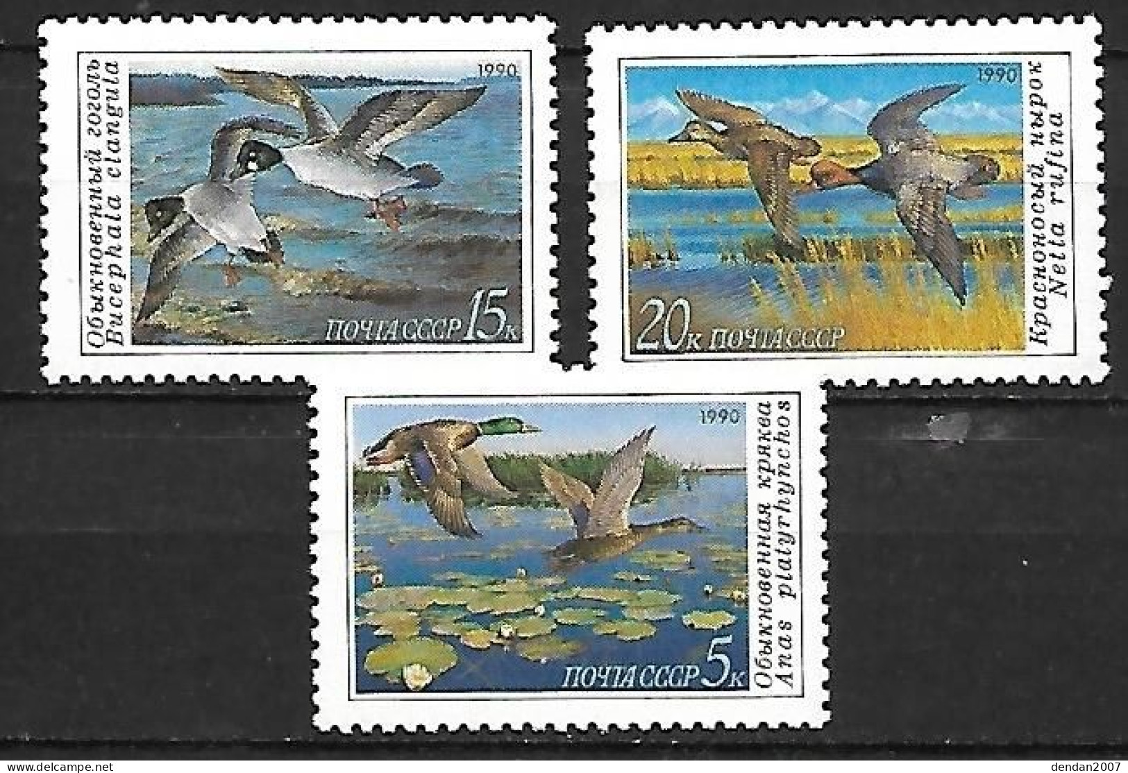 Russia CCCP - MNH** Complete 1990 Set 3/3 : Mallard +  Common Goldeneye +  Red-crested Pochard - Entenvögel