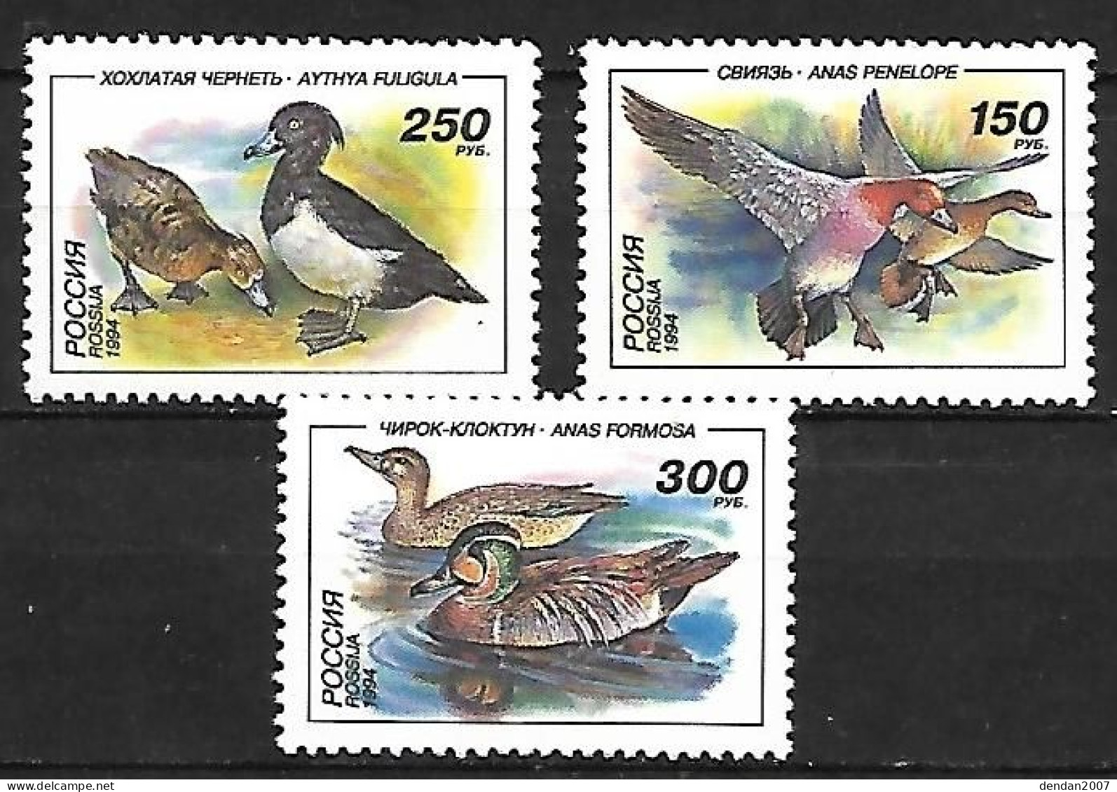 Russia CCCP - MNH** Complete 1994 Set 3/3 :  Eurasian Wigeon +   Tufted Duck +  Baikal Teal - Canards