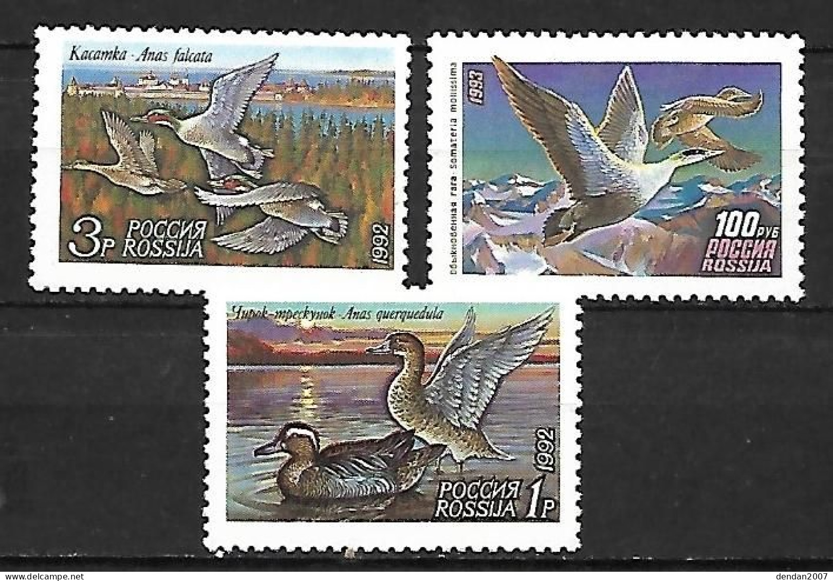 Russia CCCP - MNH** Complete 1992 Set 3/3 :  Garganey  + Common Pochard +   Falcated Duck - Entenvögel