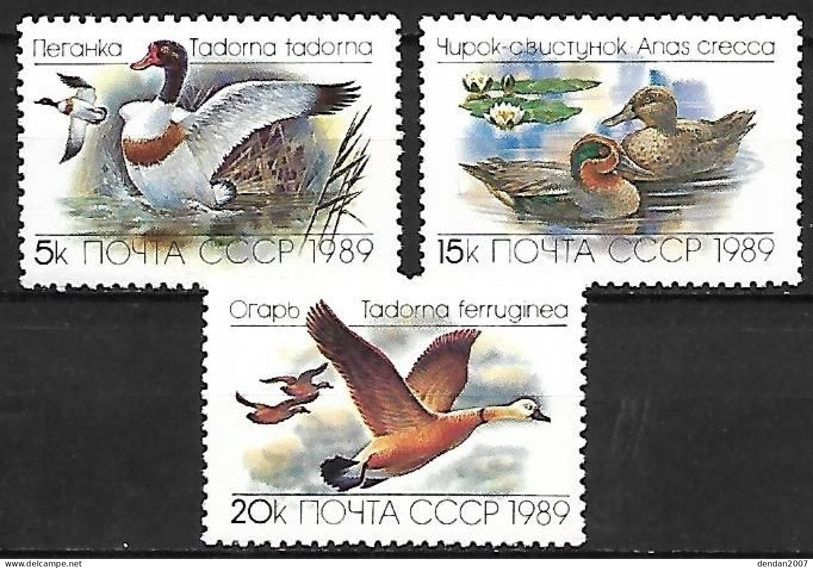 Russia CCCP - MNH** Complete 1989 Set 3/3 :   Common Shelduck +  Eurasian Teal  +   Ruddy Shelduck - Entenvögel