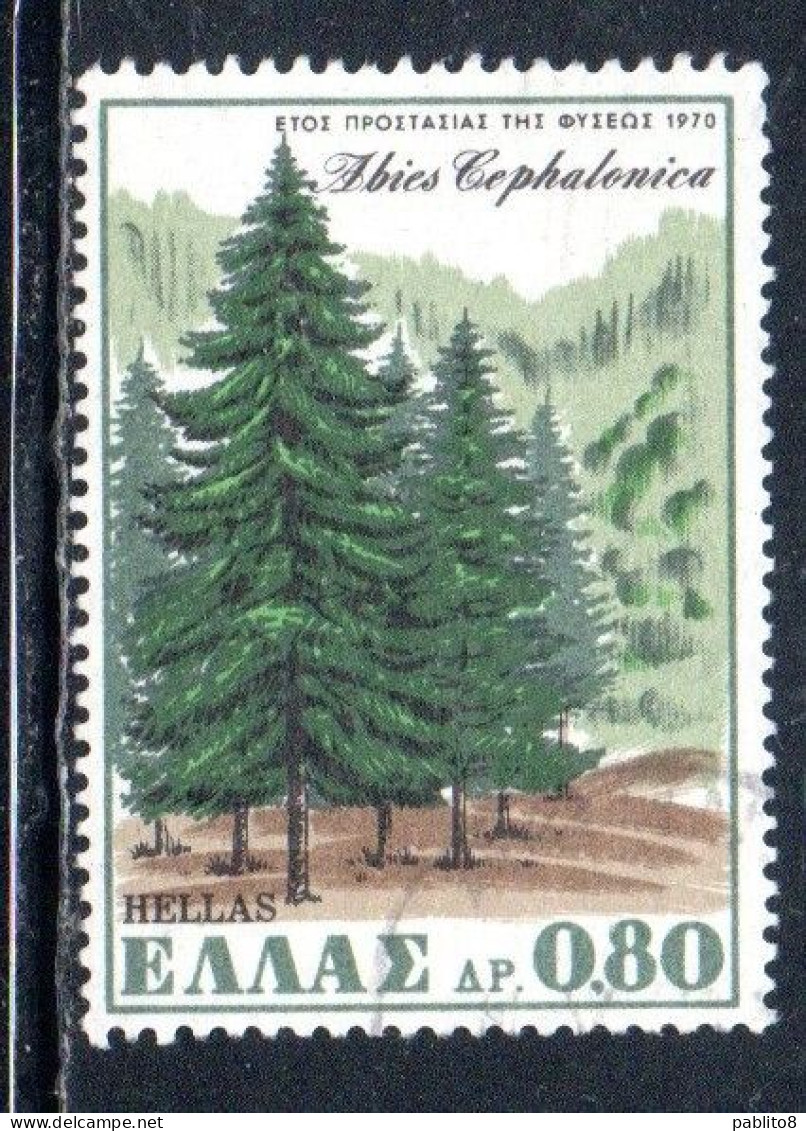 GREECE GRECIA HELLAS 1970 EUROPEAN NATURE CONSERVATION YEAR GREEK FIR 80l USED USATO OBLITERE - Used Stamps