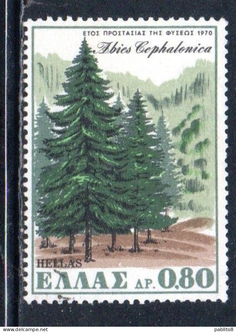 GREECE GRECIA HELLAS 1970 EUROPEAN NATURE CONSERVATION YEAR GREEK FIR 80l USED USATO OBLITERE - Oblitérés