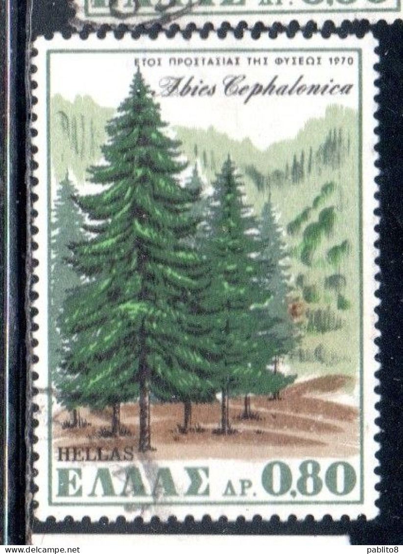 GREECE GRECIA HELLAS 1970 EUROPEAN NATURE CONSERVATION YEAR GREEK FIR 80l USED USATO OBLITERE - Used Stamps
