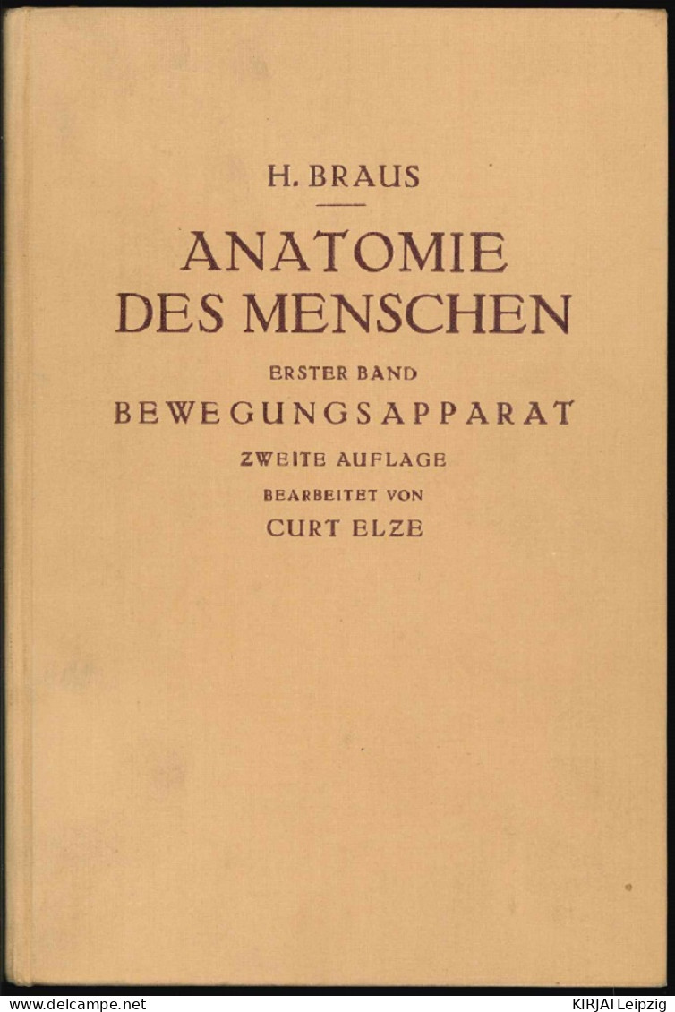 Anatomie Des Menschen. Ein Lehrbuch Für Studierende Und Ärzte. Erster Band: Bewegungsapparat. - Livres Anciens