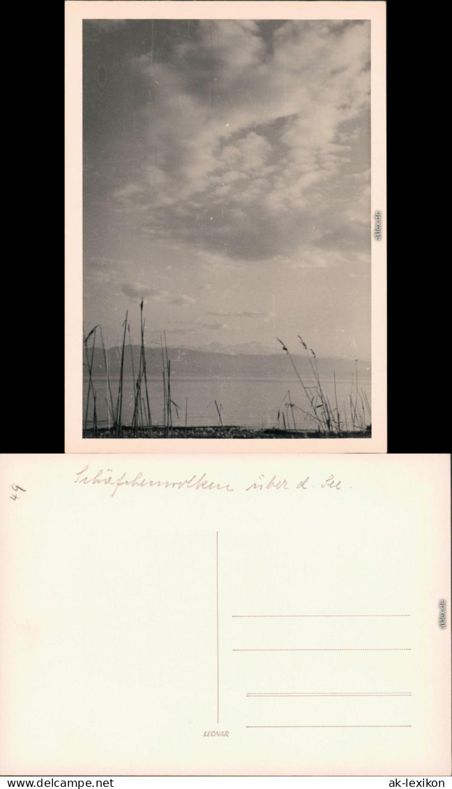Langenargen Am Bodensee Schäfchenwolken über Dem Bodensee 1955 Privatfoto - Langenargen