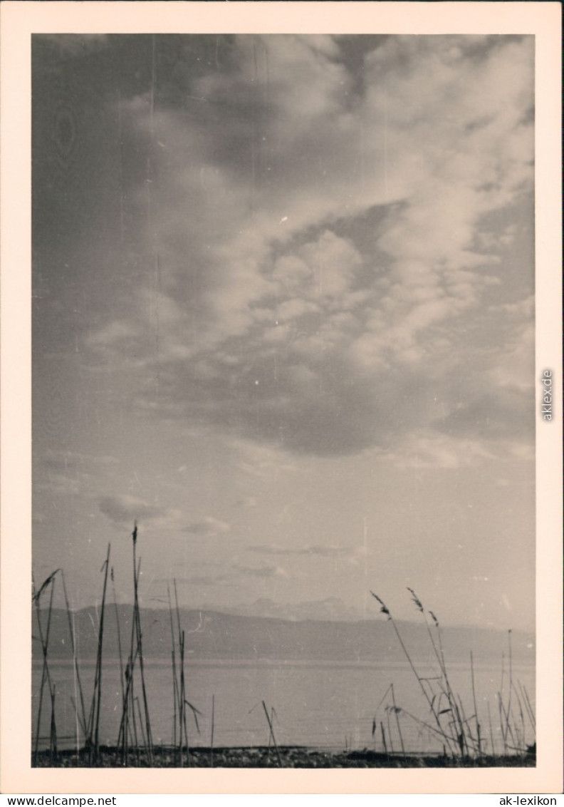 Langenargen Am Bodensee Schäfchenwolken über Dem Bodensee 1955 Privatfoto - Langenargen