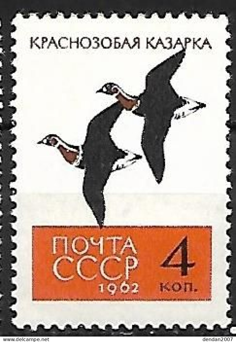 Russia CCCP - MNH** 1962 :  Red-breasted Goose -   Branta Ruficollis - Oche