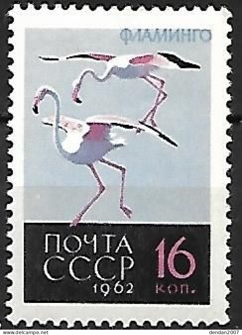 Russia CCCP - MNH** 1962 :    Greater Flamingo  -  Phoenicopterus Roseus - Flamingos