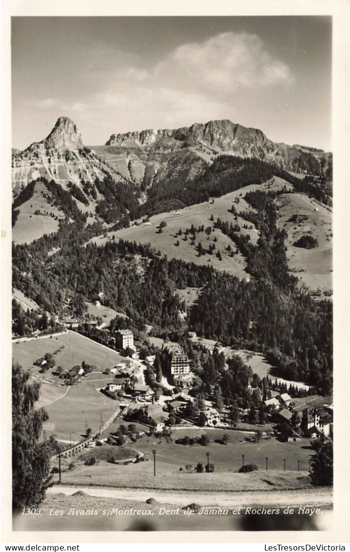 SUISSE - Montreux - Les Avants Sur Montreux - Dent De Jaman Et Rochers De Naye - Carte Postale - Montreux