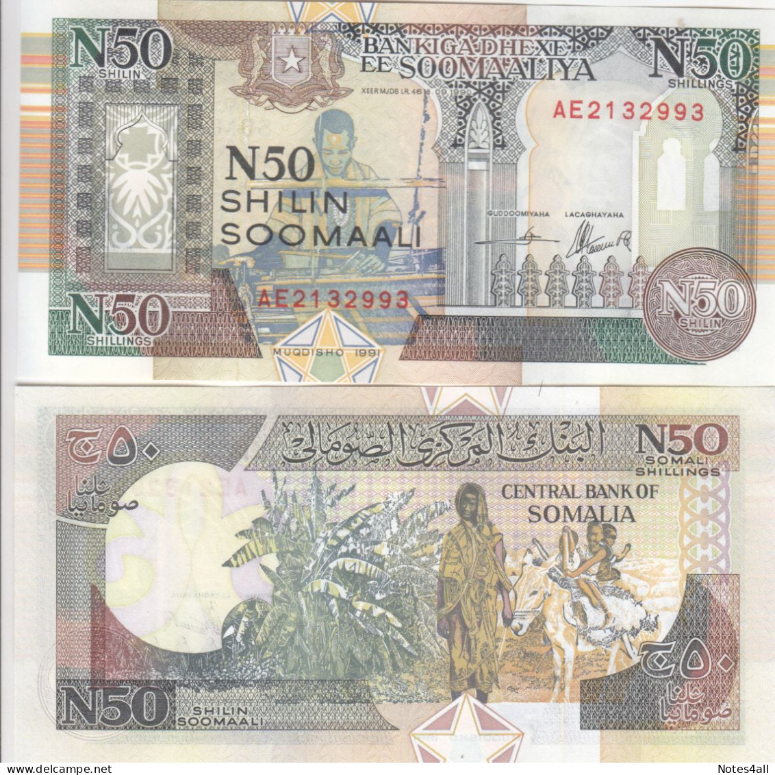 SOMALIA 50 N SHILLINGS 1991 P-R2 UNC - Somalië