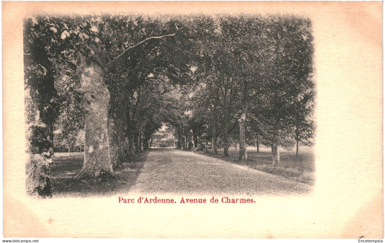 CPA Carte Postale Belgique Parc D'Ardenne Avenue Des Charmes Début 1900  VM77071 - Houyet