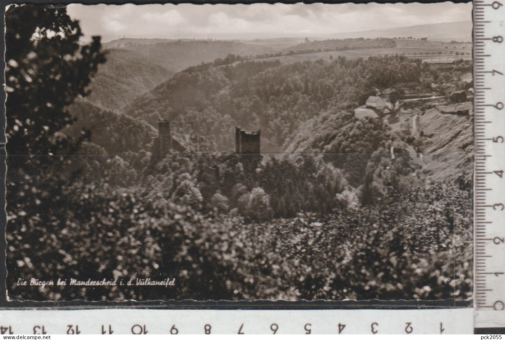 Manderscheid - Die Burgen Bei Manderscheid I. D. Vulkaneifel -  Gelaufen 1961 ( AK  4697 ) - Manderscheid