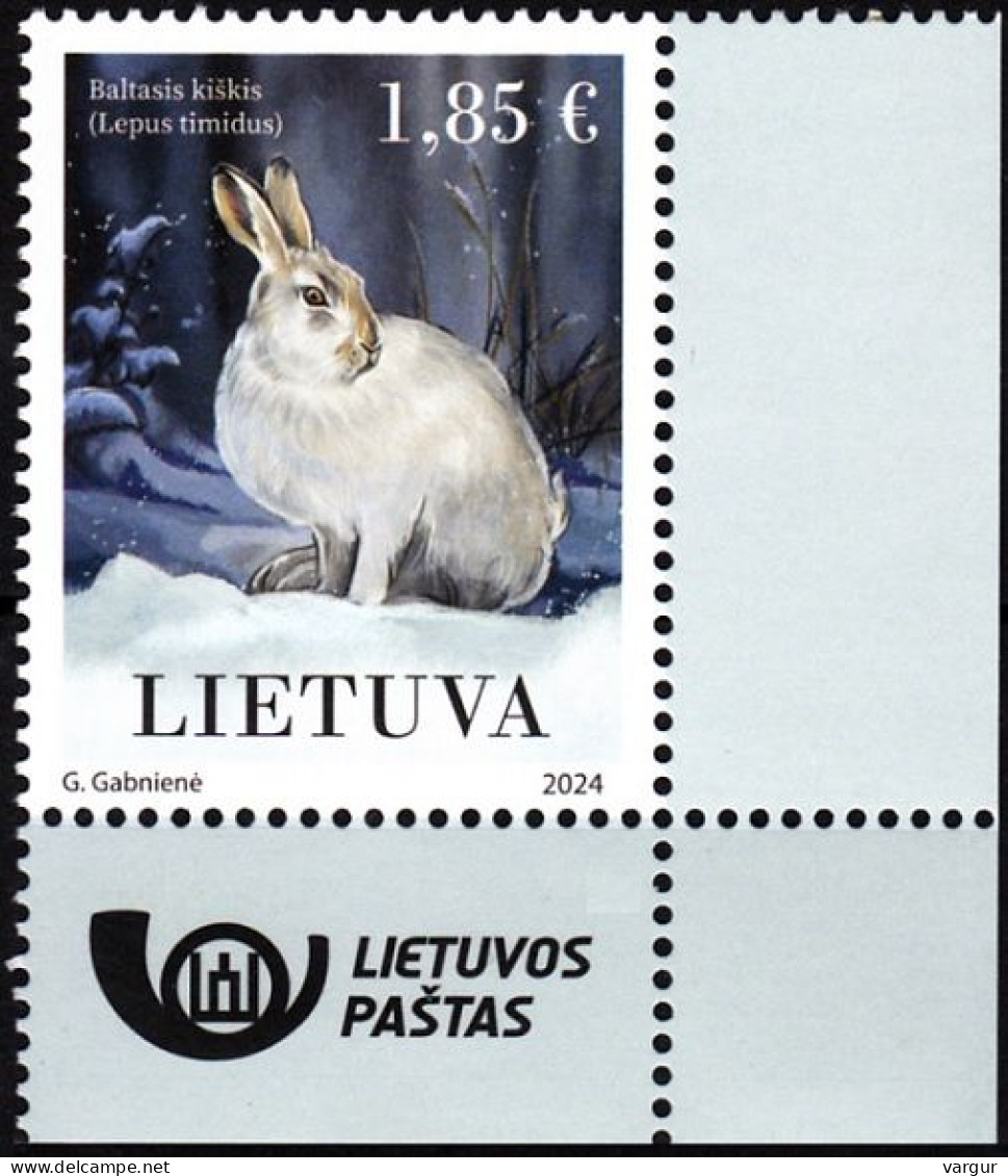 LITHUANIA 2024-02 FAUNA Animals Mammals Rodents: White Hare. Post Logo CORNER, MNH - Lapins