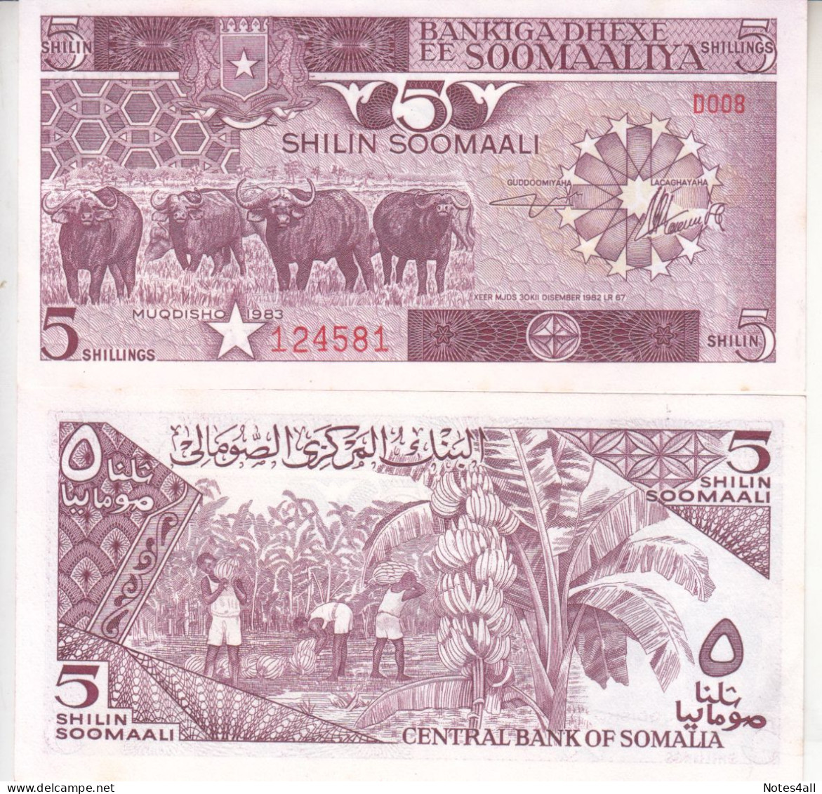 SOMALIA 5 SHILLINGS 1983 P 31a UNC - Somalia