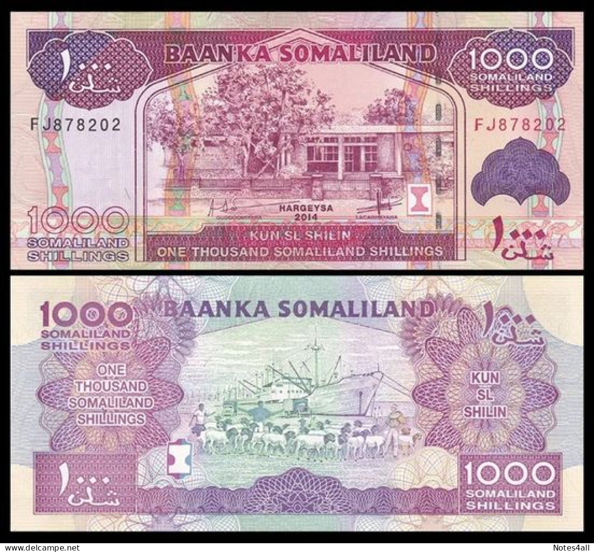 SOMALILAND 1000 SHILLINGS 2016 UNC - Somalia