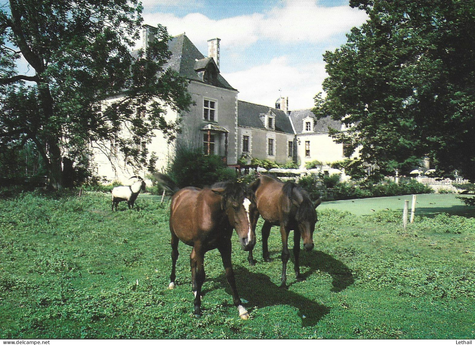 Ref ( 17427 )  Fresnes - 41700 Contres - Le Chateau De Roujoux - Contres