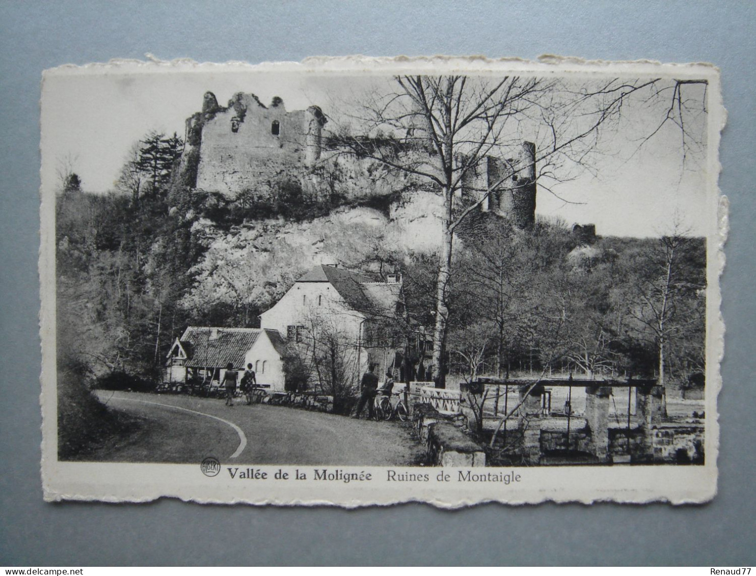 Vallée De La Molignée - Ruines De Montaigle - Onhaye