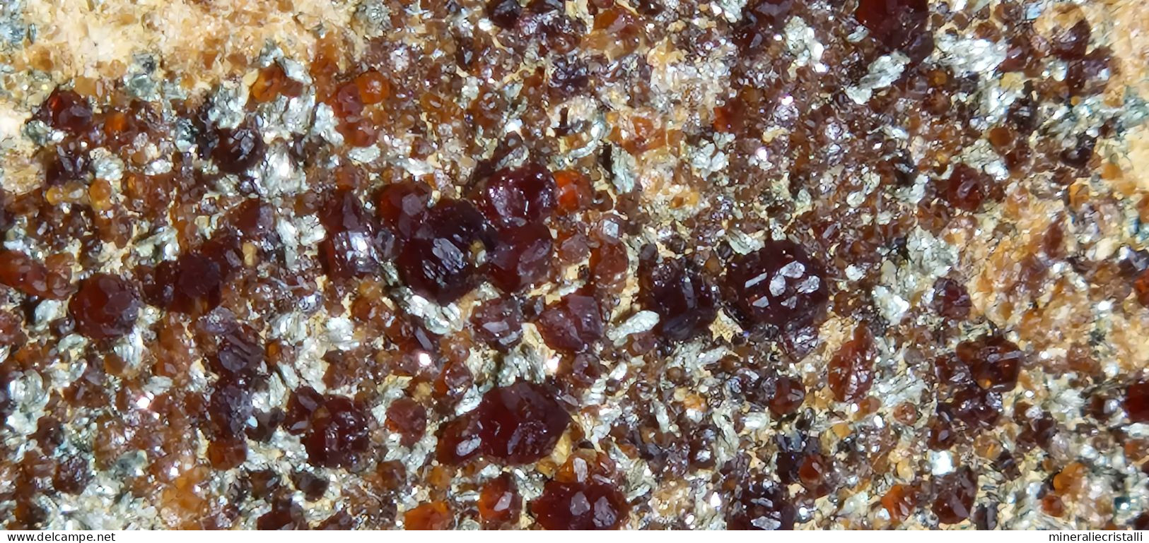 Minerali Piemontesi Granato Essonite Clinocloro - Minerals