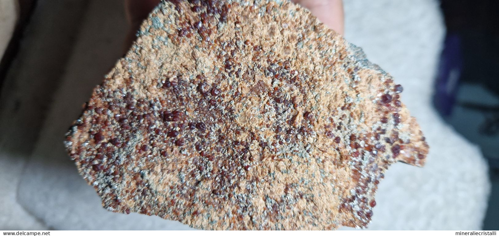 Minerali Piemontesi granato essonite clinocloro