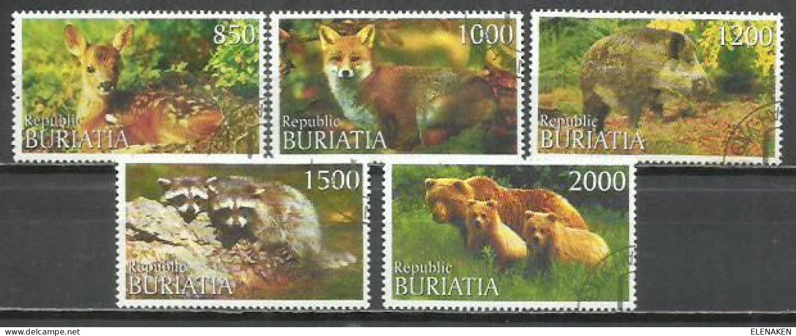 7469A-RUSIA BURIATIA SELLOS TEMÁTICOS FAUNA SALVAJE, BONITOS - Siberia Y Extremo Oriente