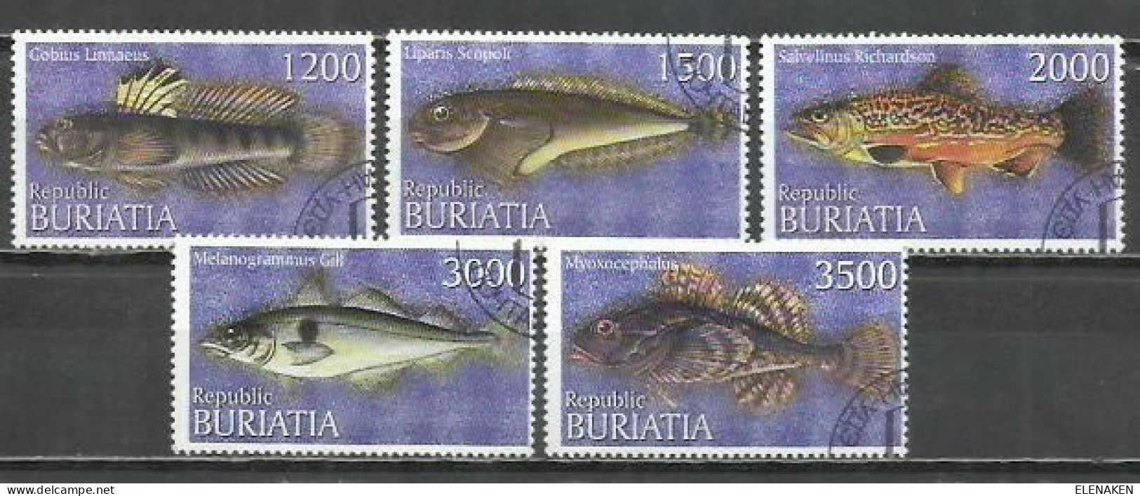 7469B-RUSIA BURIATIA SELLOS TEMÁTICOS PECES, FAUNA MARINA, BONITOS - Siberië En Het Verre Oosten