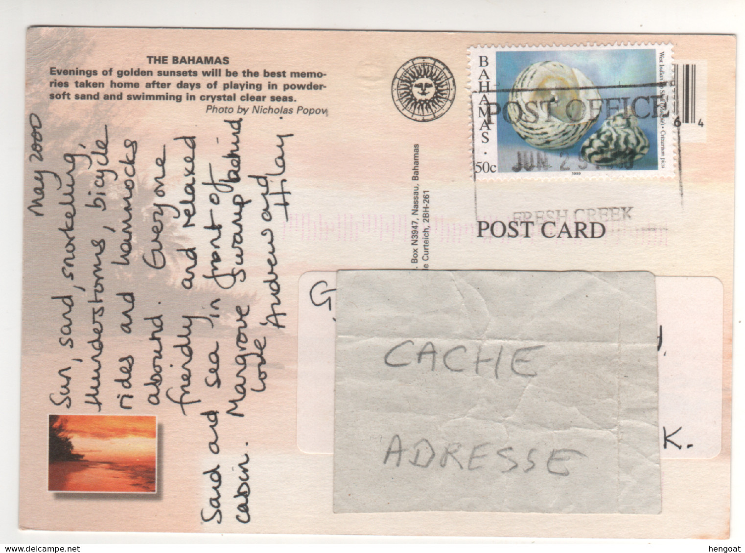 Timbre , Stamp " Coquillage " Sur CP , Carte , Postcard Du 29/16/2000 - Bahamas (1973-...)