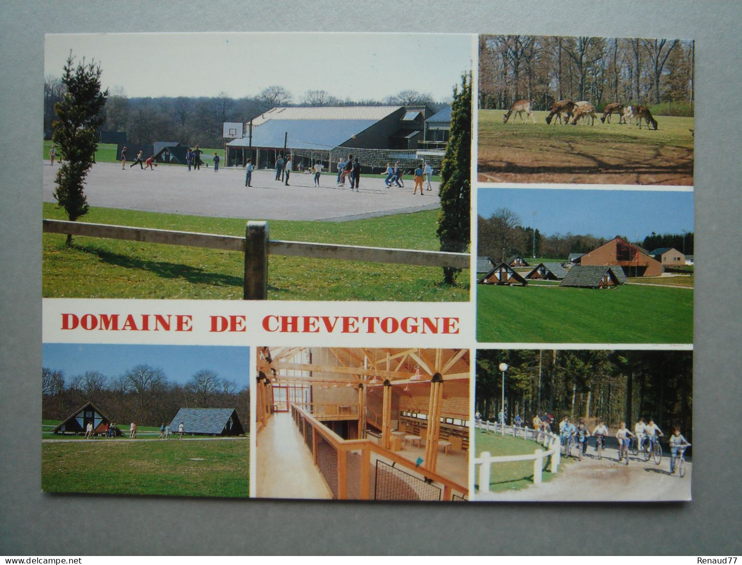DOMAINE DE CHEVETOGNE - Complexe Des Classes De Forêt - Multi Vues - Ciney