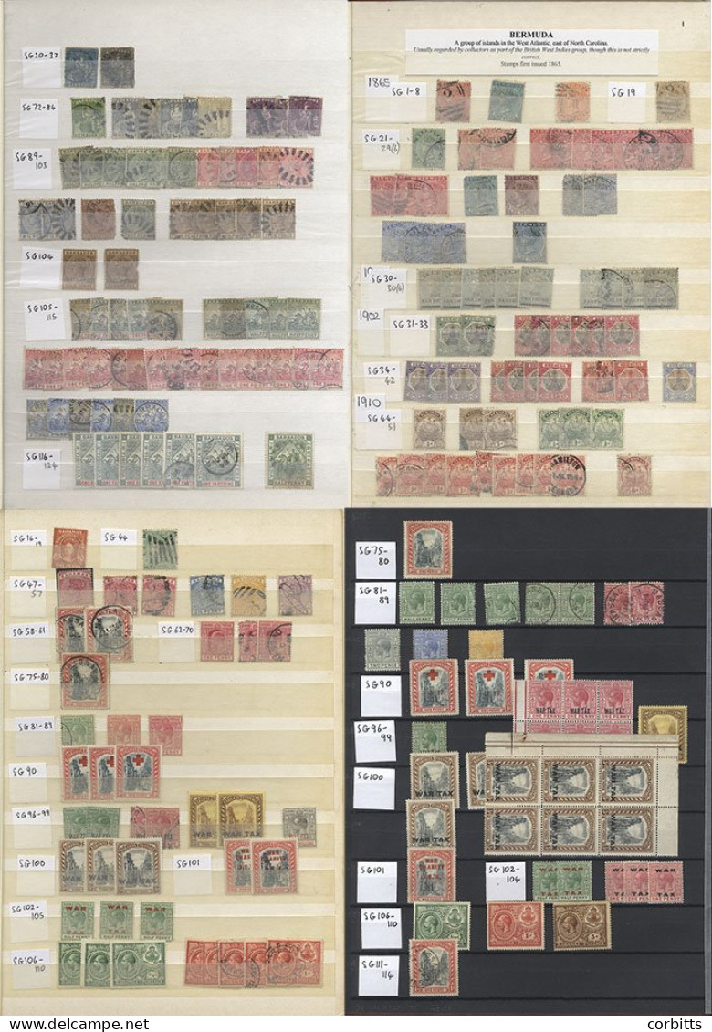 BRITISH WEST INDIES Duplicated Ranges In Seven Stock Books For Bahamas, Bermuda, Jamaica, Leeward Islands And Trinidad & - Sonstige & Ohne Zuordnung