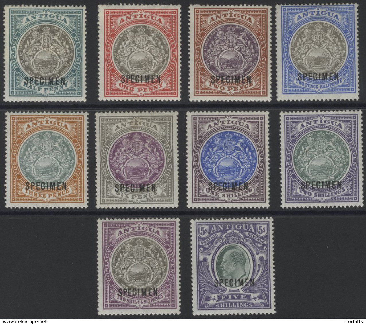 1903-07 CCC Set Optd SPECIMEN Fine M (small Dealer H/stamp On Reverse), SG.31s/40s, Cat. £250 (10) - Other & Unclassified