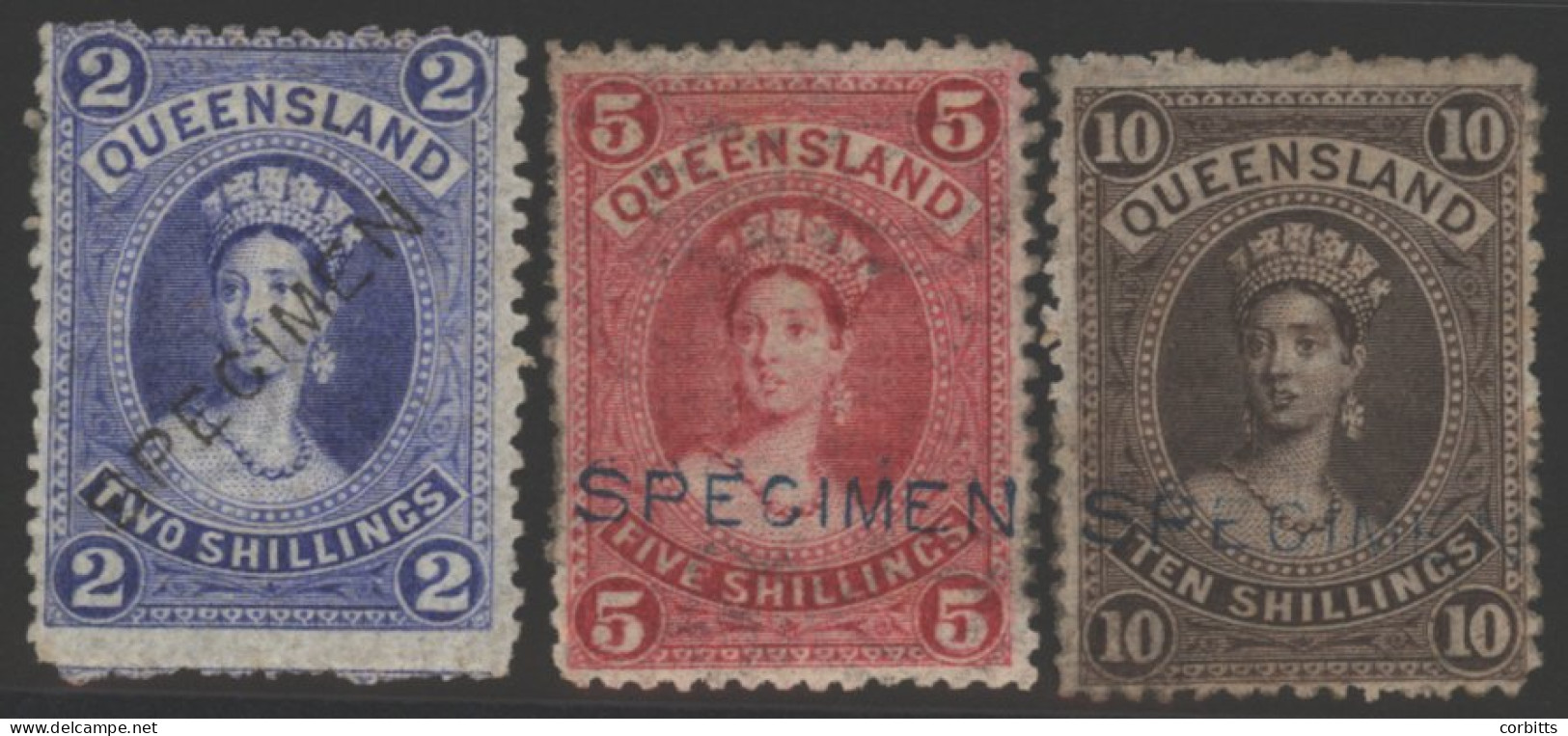 1882-95 2s, 5s & 10s, Each Optd SPECIMEN, 2s - Unused, 5s & 10s Part O.g, SG.152s/4s. (3) Cat. £225 - Other & Unclassified