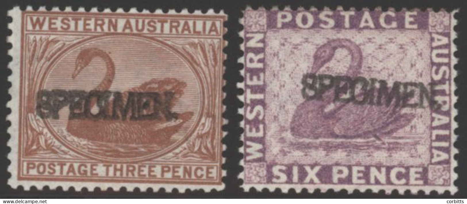 1871 3d Pale Brown & 1884 6d Lilac, Both H/stamped SPECIMEN, Fine M, SG.63s & 80s, Cat.£300 (2) - Other & Unclassified