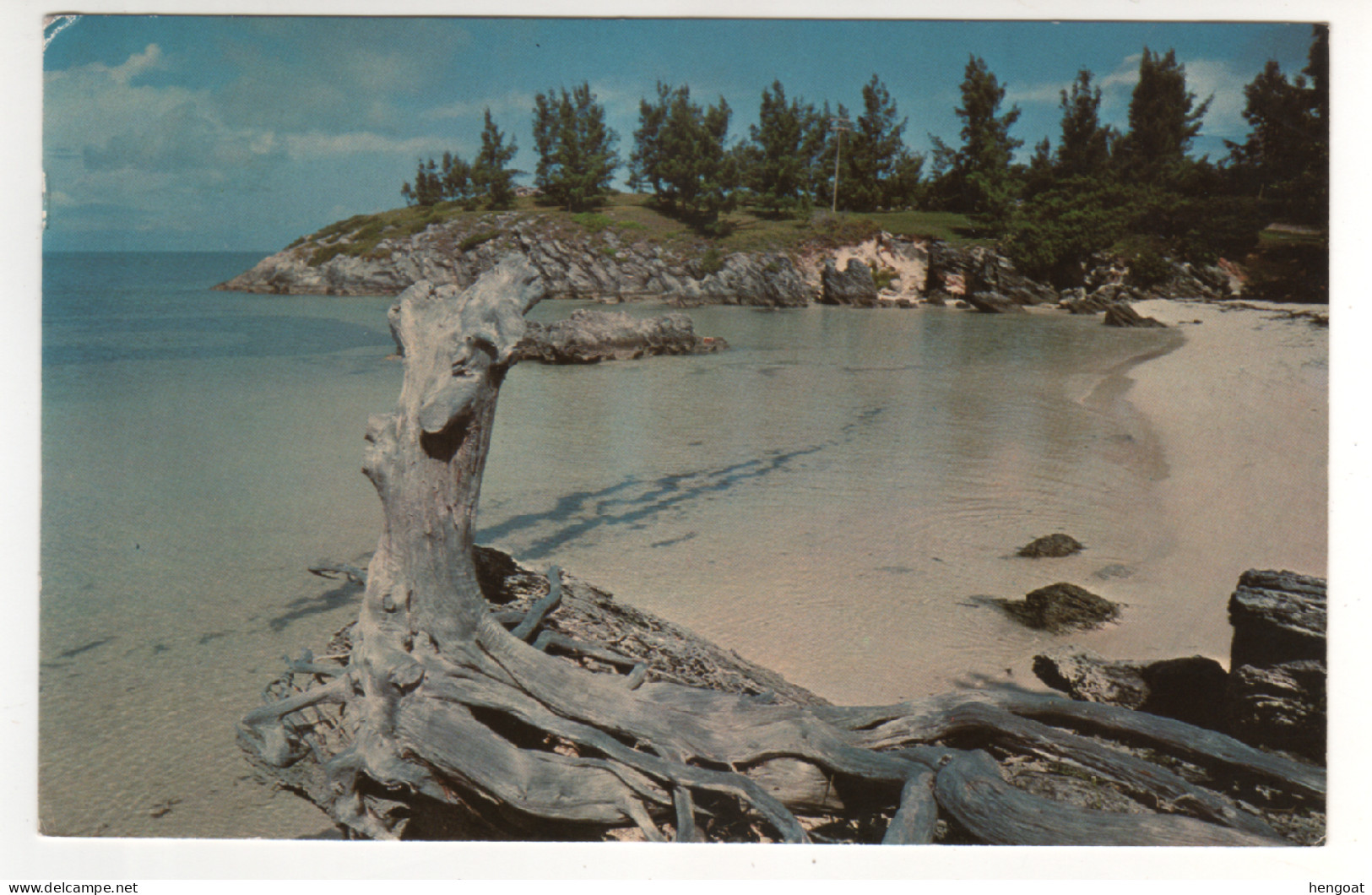 Timbres , Stamps " Fleur : Poinsettia " Sur CP , Carte , Postcard Du 12/07/72 - Bermuda