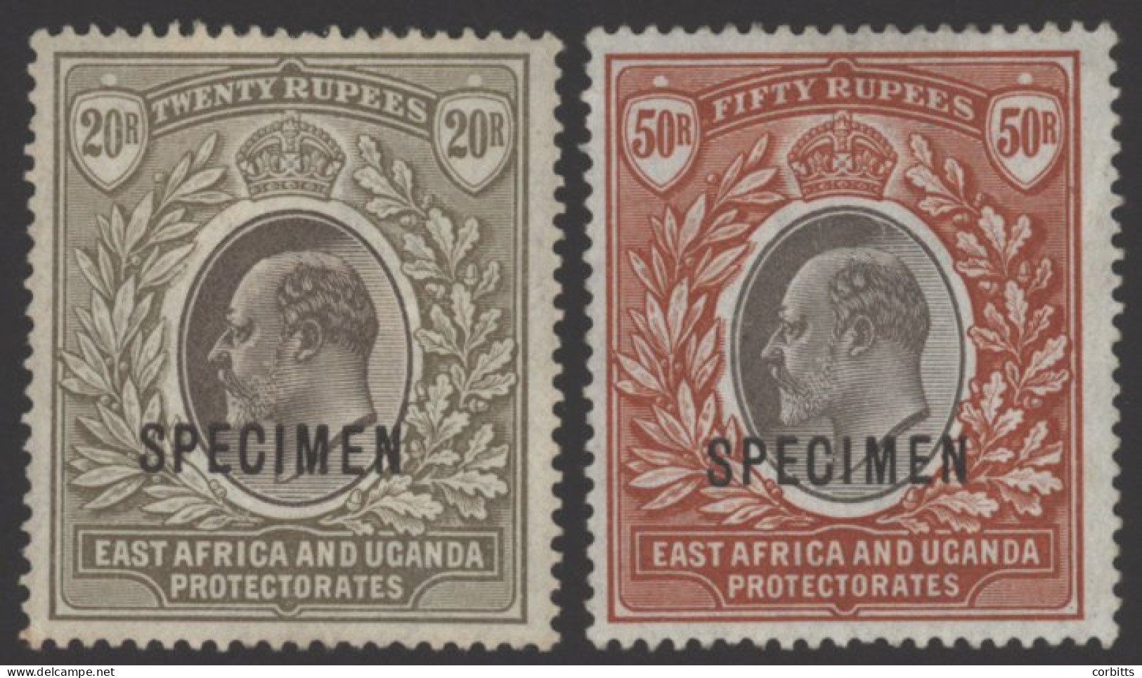 EAST AFRICA & UGANDA 1903-04 CCC 20r Grey & Stone And 50r Grey & Red Brown Optd SPECIMEN, Both  (50r - Gum Crease), Fres - Other & Unclassified