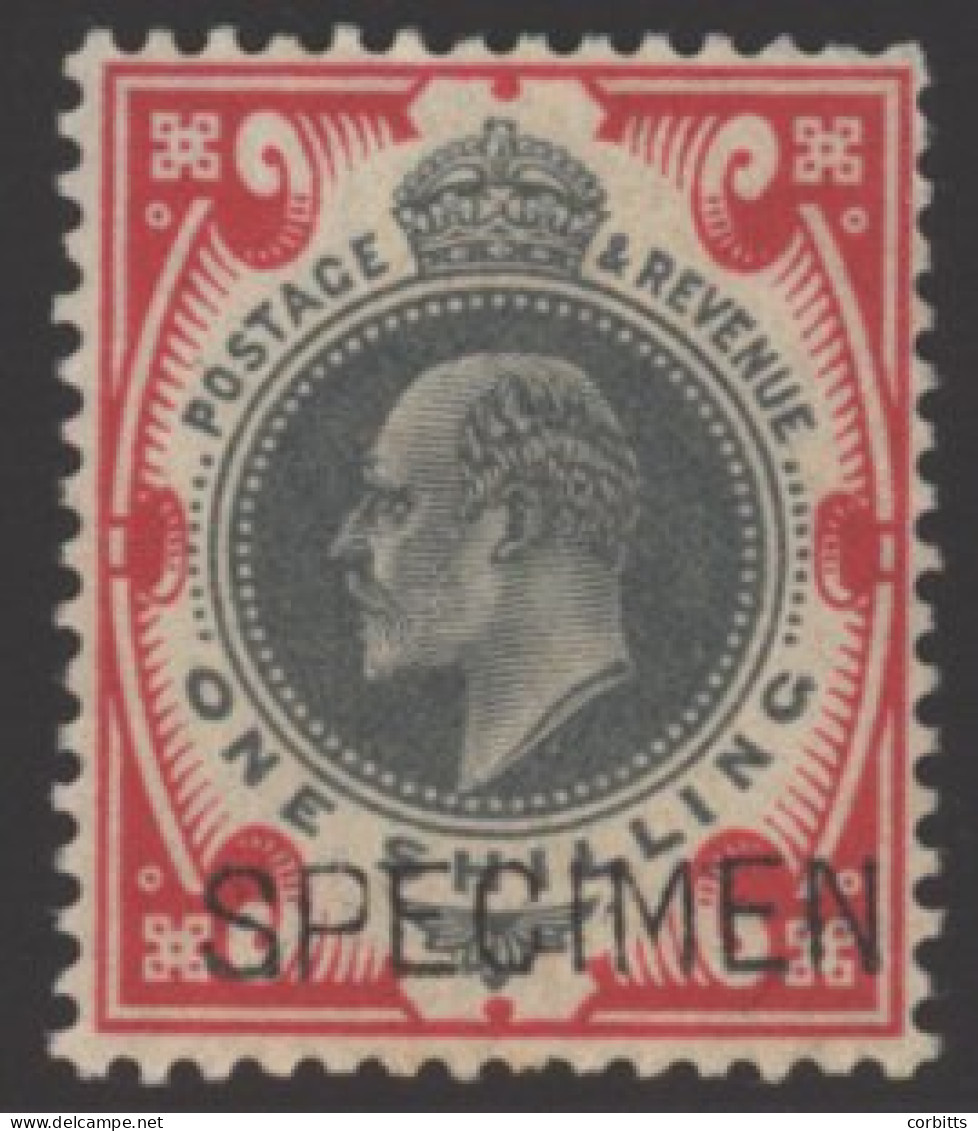 1902 DLR 1s Dull Green & Carmine Optd SPECIMEN Type 16, Fine M, SG.257s, Cat. £400 (1) - Otros & Sin Clasificación