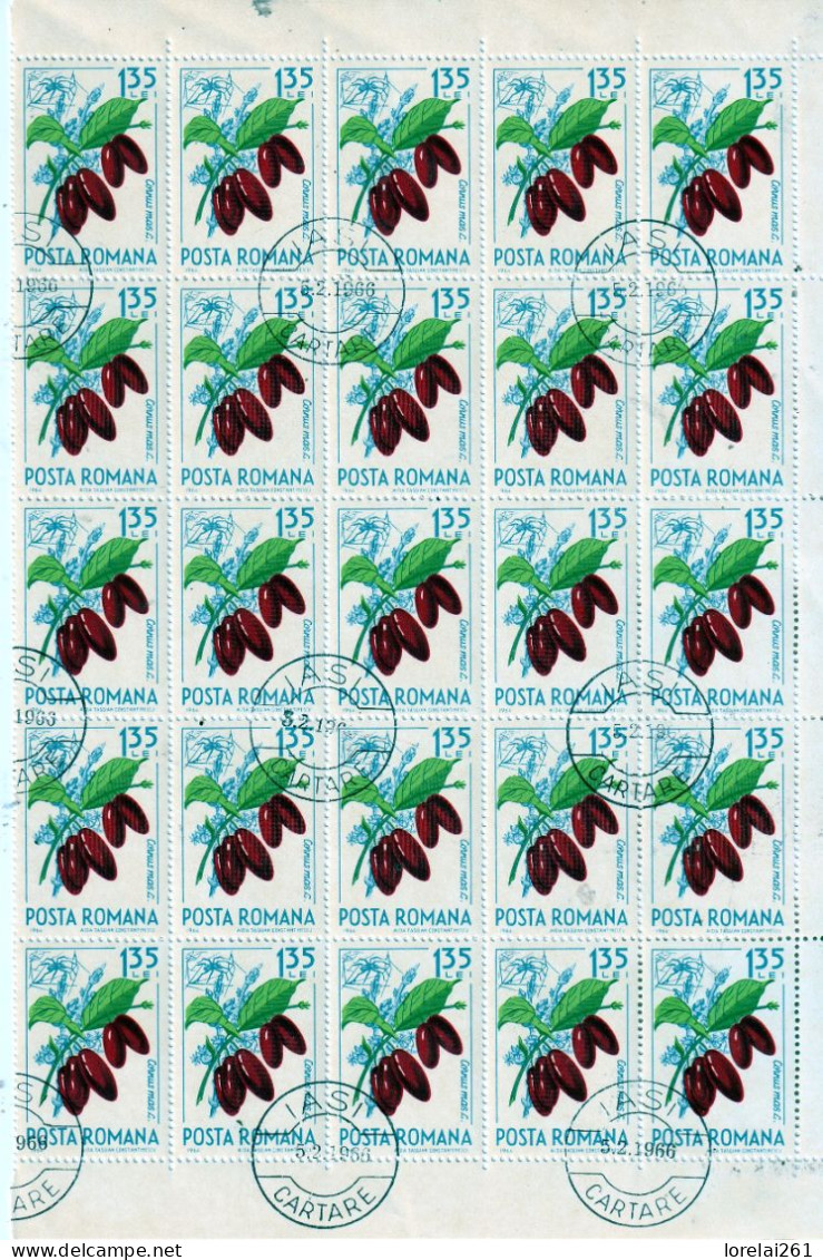 1964 - Baies  FULL X 25 - Feuilles Complètes Et Multiples