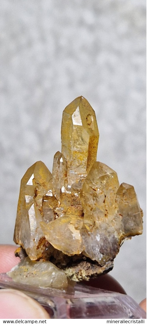 Quarzo "citrino" Quarzo Con Ossidi Di Ferro  6,44gr 3,3cm - Minerals