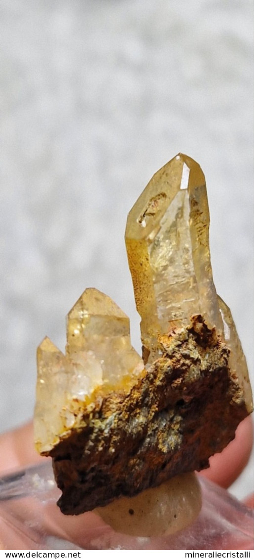 Quarzo "citrino" Quarzo Con Ossidi Di Ferro  6,44gr 3,3cm - Minerals