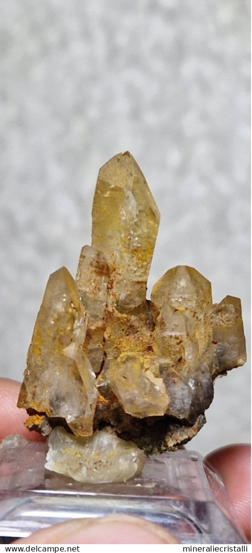 Quarzo "citrino" Quarzo Con Ossidi Di Ferro  6,44gr 3,3cm - Minéraux