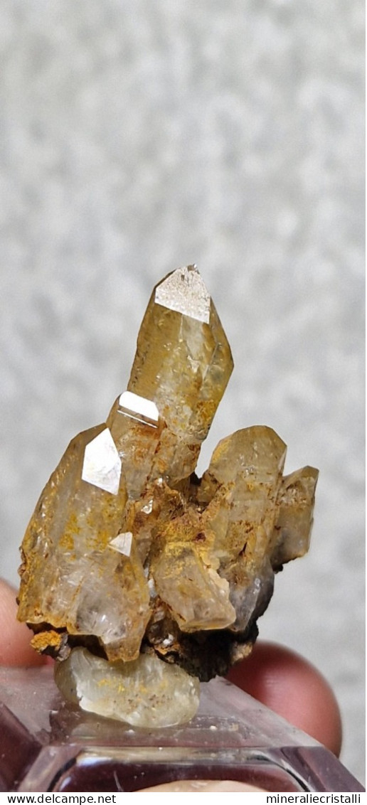 Quarzo "citrino" Quarzo Con Ossidi Di Ferro  6,44gr 3,3cm - Mineralien