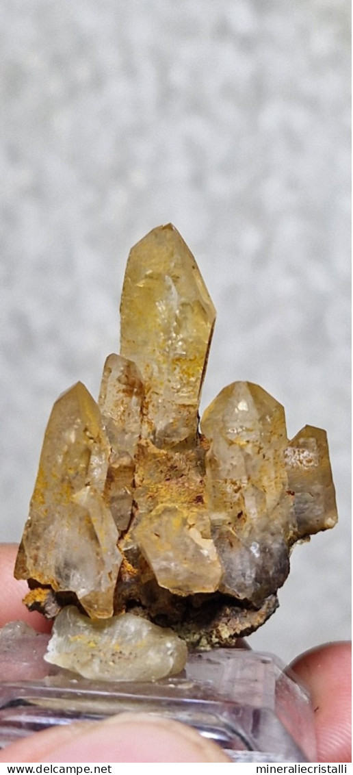 Quarzo "citrino" Quarzo Con Ossidi Di Ferro  6,44gr 3,3cm - Minerals