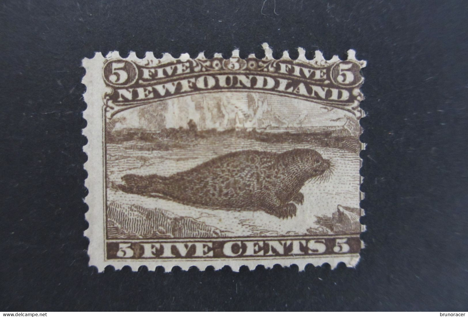 CANADA TERRE-NEUVE N°22 NEUF(*) COTE 800 EUROS VOIR SCANS - 1865-1902